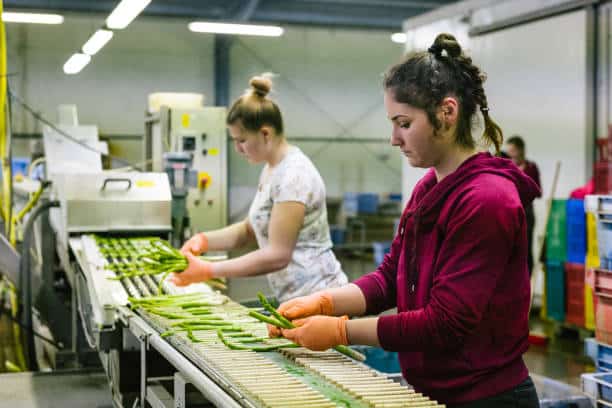 travail intérimaire étrangers